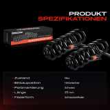 2x Fahrwerksfeder Hinterachse für VW Passat Variant 33B 1980-1988