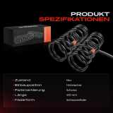 2x Fahrwerksfeder Hinterachse für Mercedes-Benz G-Klasse W460 1979-1990