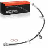 Frankberg 1x Bremsschlauch Bremsschläuche Vorderachse Links für Civic II IV V CRX II ED EE Integra