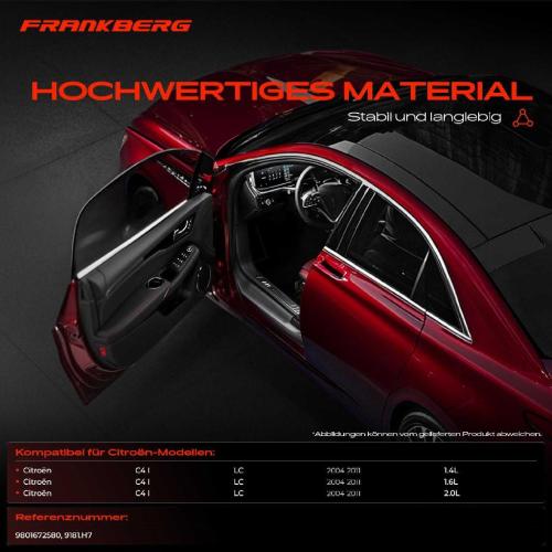 1x Türfeststeller Türfangband Türstopper Hinten für Citroën C4 I LC 1.4L 1.6L 2.0L 2004-2011 Bild 1x Türfeststeller Türfangband Türstopper Hinten für Citroën C4 I LC 1.4L 1.6L 2.0L 2004-2011