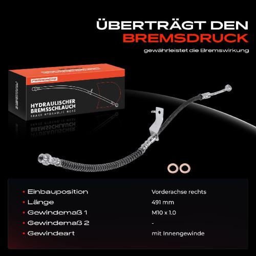 Frankberg 1x Bremsschlauch Bremsschläuche Vorderachse Rechts für Hyundai Accent IV RB KIA Rio 3 UB Bild Frankberg 1x Bremsschlauch Bremsschläuche Vorderachse Rechts für Hyundai Accent IV RB KIA Rio 3 UB