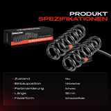 2x Fahrwerksfeder Hinterachse für Skoda Octavia II Yeti VW Golf V VI Touran