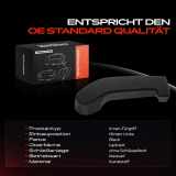 1x Türgriff Hinten Links innen für Opel Movano B Bus Kasten Renault Master III Pritsche/Fahrgestell Bj ab 2010