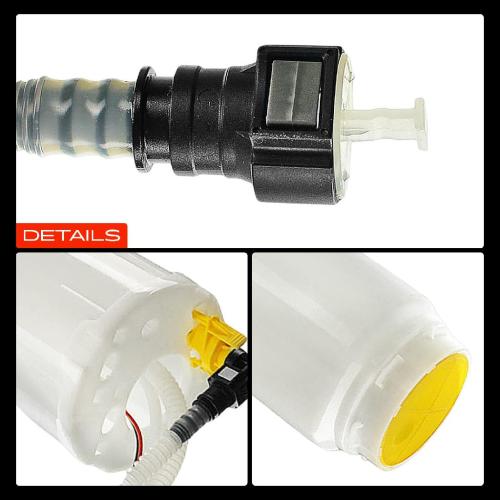 Frankberg 1x Kraftstoffpumpe für VW Touareg Audi Q7 Porsche Cayenne 3.6L 4.2L 3.2L 4.5L 4.8L 6.0L 2002-2010 Bild Frankberg 1x Kraftstoffpumpe für VW Touareg Audi Q7 Porsche Cayenne 3.6L 4.2L 3.2L 4.5L 4.8L 6.0L 2002-2010