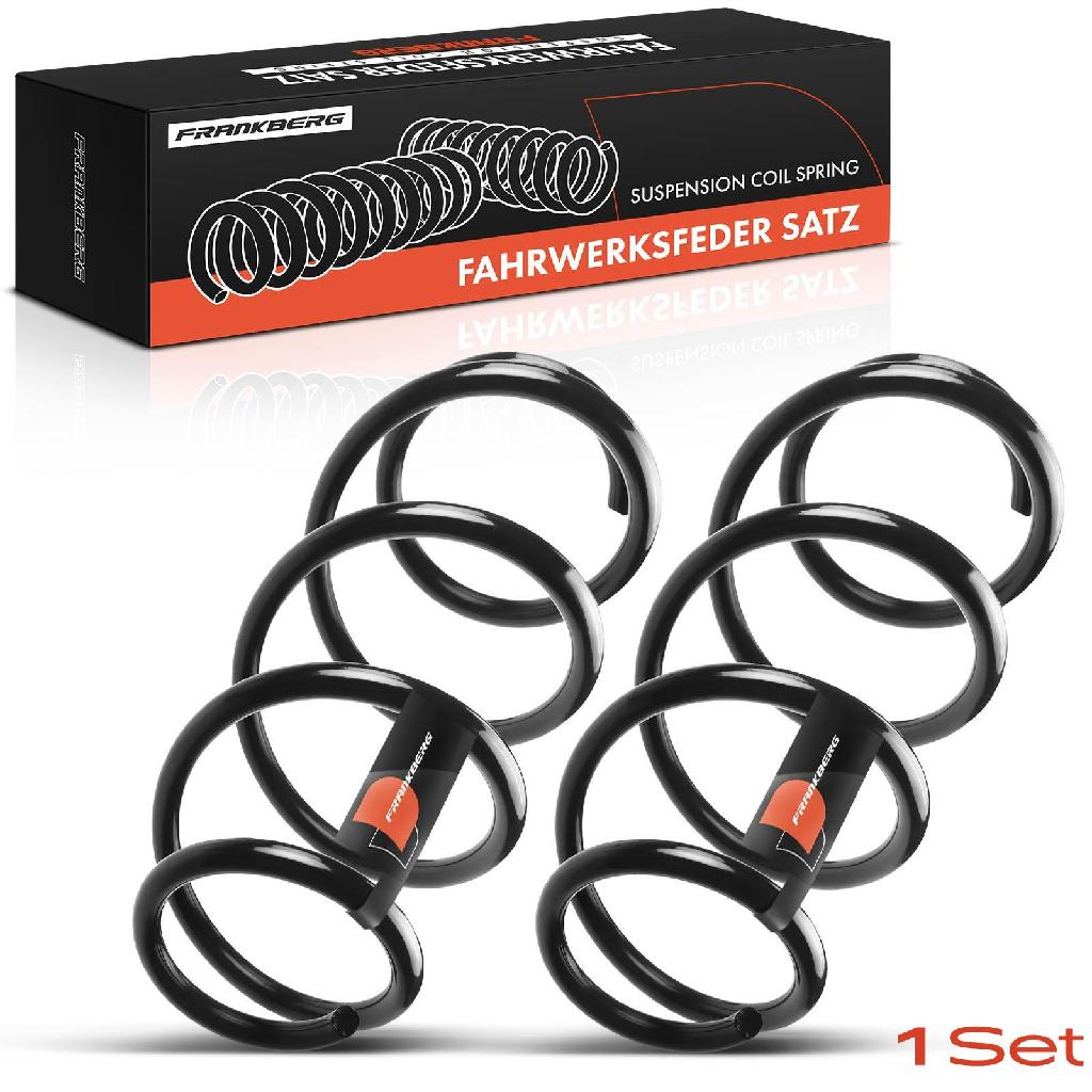 Frankberg 2x Fahrwerksfeder Vorderachse für Opel Astra G F08 T98 F07 F69 Vectra B J96 38