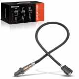 Frankberg 1x Lambdasonde Diagnosesonde Nach Katalysator für Ford Ecosport Fiesta VI Tourneo Courier