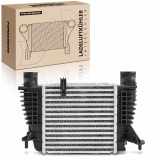 1x Ladeluftkühler Turbokühler für Nissan Cube NV200 Note Renault Clio 3 Modus