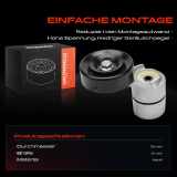 1x Spannrolle Riemenspanner für Hyundai Santa Fé I II SM CM KIA VQ