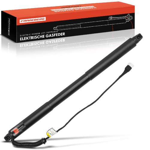 1x Gasfeder Elektrisch Heckklappe Hinten Rechts für BMW 3er Touring F31 3.0L 2.0L 1.5L 2011-2019 Bild 1x Gasfeder Elektrisch Heckklappe Hinten Rechts für BMW 3er Touring F31 3.0L 2.0L 1.5L 2011-2019