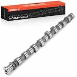 1x Nockenwelle für Mitsubishi Pajero II-IV V2W V3W V6W-V9W V8 V9 V8V 3.2L Bj ab 2000