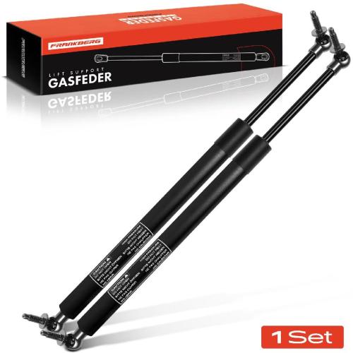 2x Gasfeder Dämpfer Heckklappe Chrysler Voyager IV RG Dodge Caravan RG Minivan 2001-2007 Bild 2x Gasfeder Dämpfer Heckklappe Chrysler Voyager IV RG Dodge Caravan RG Minivan 2001-2007