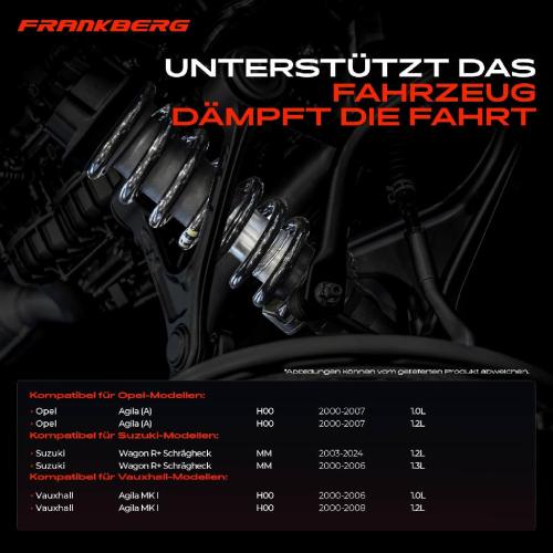 Frankberg 2x Fahrwerksfeder Hinterachse für Opel Agila (A) H00 Suzuki Wagon R MM Vauxhall Bj ab 2000 Bild Frankberg 2x Fahrwerksfeder Hinterachse für Opel Agila (A) H00 Suzuki Wagon R MM Vauxhall Bj ab 2000