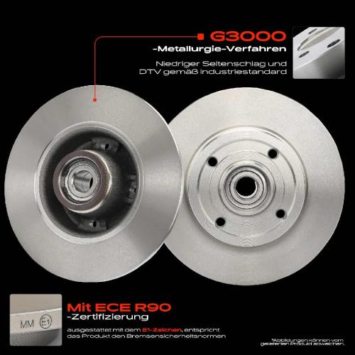 2x Bremsscheiben Hinterachse für Renault Clio III Grandtour Kasten/Schrägheck Megane Bj ab 2002 Bild 2x Bremsscheiben Hinterachse für Renault Clio III Grandtour Kasten/Schrägheck Megane Bj ab 2002