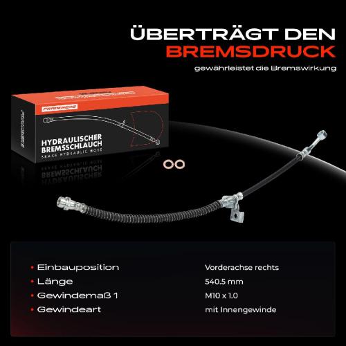Frankberg 1x Bremsschlauch Bremsschläuche Vorderachse Rechts für KIA Rio IV FB SC YB Stonic Bild Frankberg 1x Bremsschlauch Bremsschläuche Vorderachse Rechts für KIA Rio IV FB SC YB Stonic