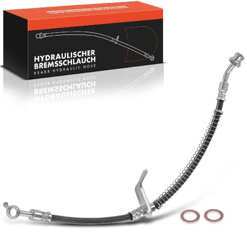 Frankberg 1x Bremsschlauch Bremsschläuche Vorderachse Rechts für Hyundai Ioniq AE KIA Niro DE 1.6L Bild Frankberg 1x Bremsschlauch Bremsschläuche Vorderachse Rechts für Hyundai Ioniq AE KIA Niro DE 1.6L
