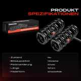 2x Fahrwerksfeder Hinterachse für Jaguar XK8 Convertible QDV X100 XK8 Coupe QEV X100 1996-2005