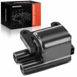 Frankberg 1x Zündmodul Zündspule für Hyundai Coupe Getz Santa Fé I KIA Picanto 2.7L 1.1L 1.0L 2001-2011