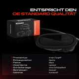 1x Türgriff Rechts innen für Dacia Duster Kasten Logan Express MCV Pick-up Sandero Nissan Interstar Bus