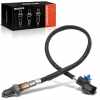 1x Lambdasonde Diagnosesonde Nach Katalysator für Hyundai Getz TB 1.3L 1.4L 1.6L 2002-2010 Bild 1x Lambdasonde Diagnosesonde Nach Katalysator für Hyundai Getz TB 1.3L 1.4L 1.6L 2002-2010