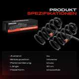 2x Fahrwerksfeder Hinterachse für Toyota Land Cruiser Prado GRJ12 KDJ12 KZJ12 LJ12 2002-2010