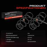 2x Fahrwerksfeder Vorderachse für Toyota Yaris P9 1.0L 1.3L 2005-2011