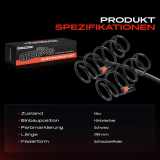 2x Fahrwerksfeder Hinterachse für Nissan Pixo UA0 Suzuki Alto GF 1.0L Bj ab 2009