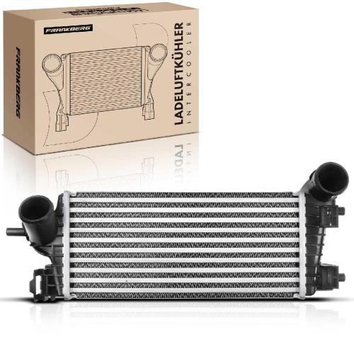 1x Ladeluftkühler Turbokühler für Ford C-Max 2 Focus 3 Grand C-Max DXA Bj ab 2012 1.0L Bild 1x Ladeluftkühler Turbokühler für Ford C-Max 2 Focus 3 Grand C-Max DXA Bj ab 2012 1.0L