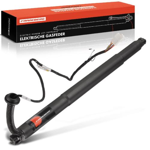 1x Gasfeder Elektrisch Heckklappe Hinten Rechts für BMW X6 F16 F86 2016/08-2019 Bild 1x Gasfeder Elektrisch Heckklappe Hinten Rechts für BMW X6 F16 F86 2016/08-2019