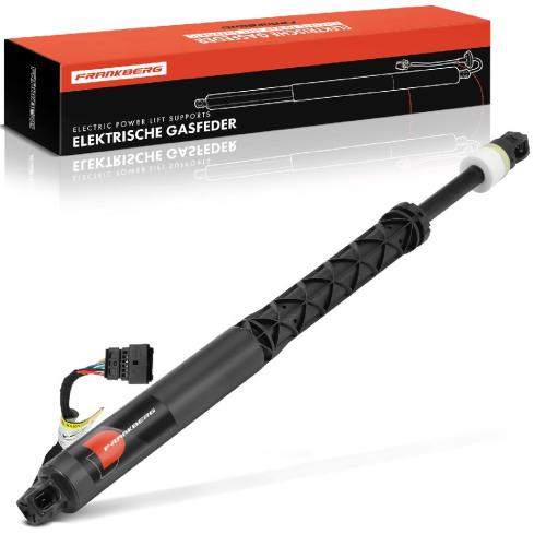 1x Gasfeder Elektrisch Heckklappe Hinten unten für BMW X5 F95 G05 X7 G07 Bild 1x Gasfeder Elektrisch Heckklappe Hinten unten für BMW X5 F95 G05 X7 G07