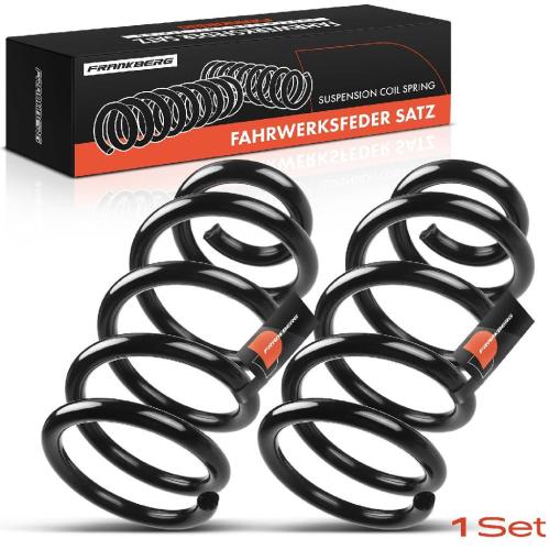 2x Fahrwerksfeder Hinterachse für Alfa Romeo GTV 916 916C Spider 2.0L 3.0L 3.2L 1995-2005 Bild 2x Fahrwerksfeder Hinterachse für Alfa Romeo GTV 916 916C Spider 2.0L 3.0L 3.2L 1995-2005