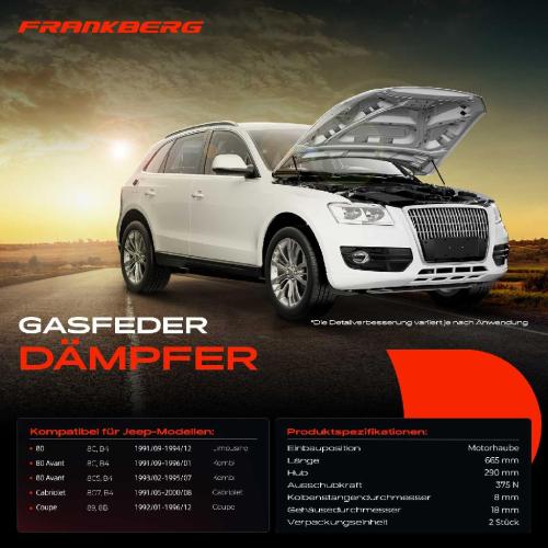Frankberg 2x Gasfeder Dämpfer Motorhaube für Audi 80 8C B4 Kombi Cabriolet 1991-2000 Bild Frankberg 2x Gasfeder Dämpfer Motorhaube für Audi 80 8C B4 Kombi Cabriolet 1991-2000