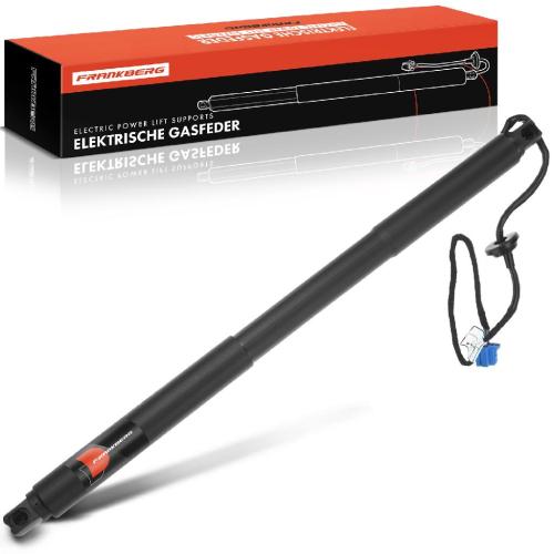 Frankberg 1x Gasfeder Elektrisch Heckklappe Hinten Rechts für Mercedes-Benz X166 GL GLS 2013-2019 Bild Frankberg 1x Gasfeder Elektrisch Heckklappe Hinten Rechts für Mercedes-Benz X166 GL GLS 2013-2019