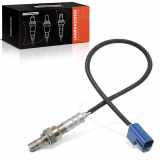 Frankberg 1x Lambdasonde Regelsonde/Diagnosesonde Vor/Nach Katalysator für Nissan 350 Z Primera X-Trail Renault