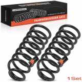 Frankberg 2x Fahrwerksfeder Hinterachse für Dacia Logan LS Sandero Renault Sandero/Stepway BS 2008-2013