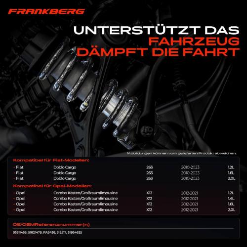 Frankberg 2x Fahrwerksfeder Vorderachse für Fiat Doblo Cargo 263 Opel Combo Kasten/MPV X12 Bj ab 2010 Bild Frankberg 2x Fahrwerksfeder Vorderachse für Fiat Doblo Cargo 263 Opel Combo Kasten/MPV X12 Bj ab 2010