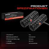 2x Fahrwerksfeder Hinterachse für Mercedes-Benz SL R129 2.8L 3.0L 3.2L 1989-2001