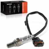 Frankberg 1x Lambdasonde Diagnosesonde Nach Katalysator für Fiat Stilo Multi Wagon 192 Opel Meriva X03 1.6L 2005-2010