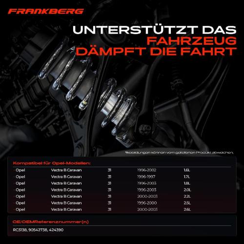Frankberg 2x Fahrwerksfeder Hinterachse für Opel Vectra B Caravan 31 1996-2003 Bild Frankberg 2x Fahrwerksfeder Hinterachse für Opel Vectra B Caravan 31 1996-2003