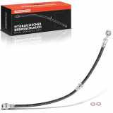Frankberg 1x Bremsschlauch Bremsschläuche Hinterachse Links oder Rechts für KIA Cerato LD Stufenheck 1.5L 1.6L