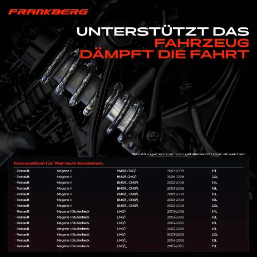 Frankberg 2x Fahrwerksfeder Hinterachse für Renault Megane 2 BM0/1 CM0/1 LM0/1 2002-2009 Bild Frankberg 2x Fahrwerksfeder Hinterachse für Renault Megane 2 BM0/1 CM0/1 LM0/1 2002-2009
