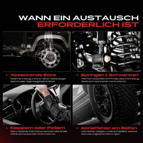Frankberg 2x Fahrwerksfeder Hinterachse für Fiat Punto 188 Punto Kasten/Schrägheck 2003-2012 Bild Frankberg 2x Fahrwerksfeder Hinterachse für Fiat Punto 188 Punto Kasten/Schrägheck 2003-2012