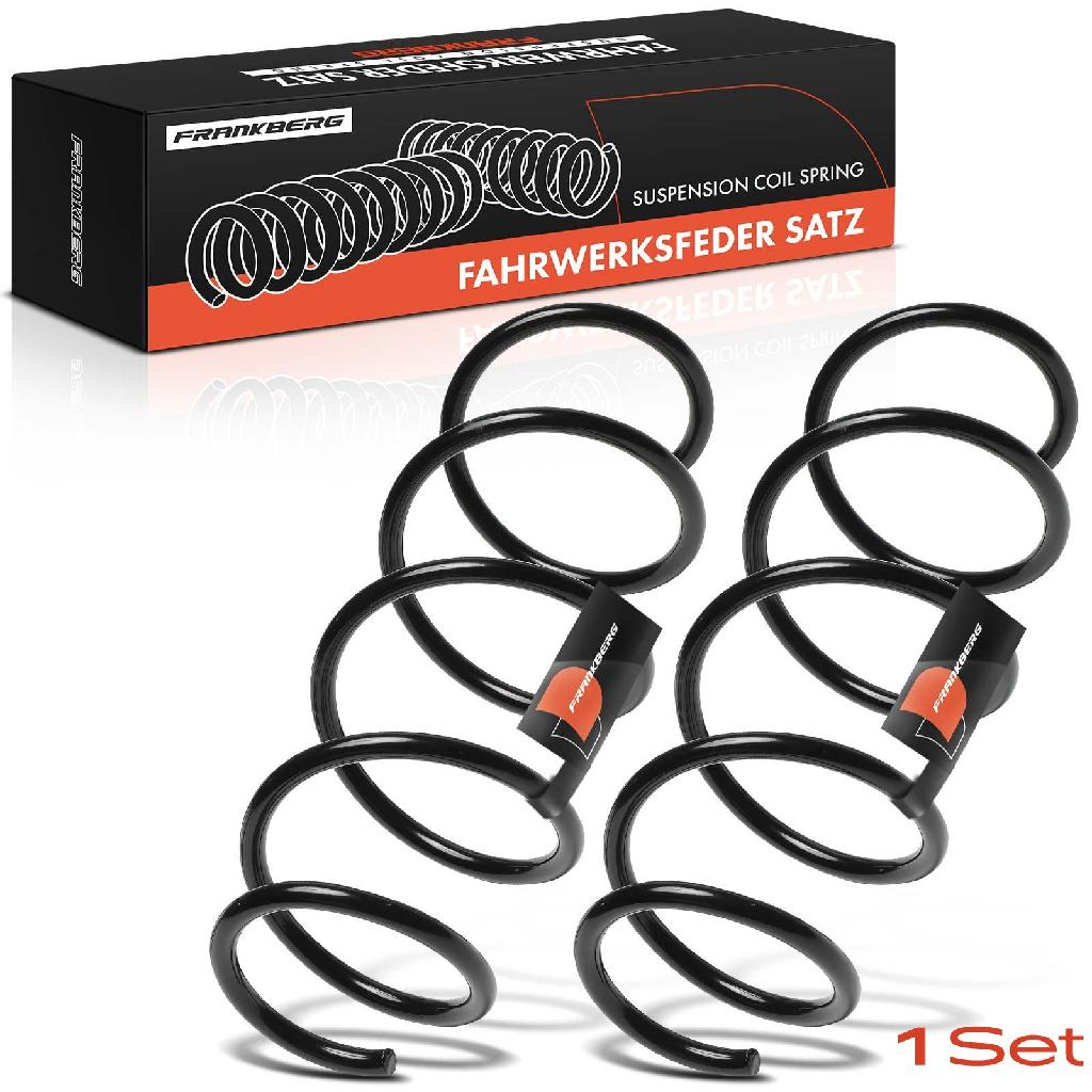 Frankberg 2x Fahrwerksfeder Vorderachse für Fiat Panda 312 319 0.9L 1.2L Bj ab 2012