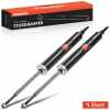 2x Stoßdämpfer Hinterachse für BMW 1er E81 E87 E88 E82 3er E90 E93 E92 E91 2004-2013 Bild 2x Stoßdämpfer Hinterachse für BMW 1er E81 E87 E88 E82 3er E90 E93 E92 E91 2004-2013