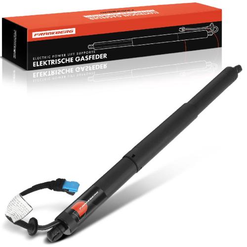 1x Gasfeder Elektrisch Heckklappe Hinten Rechts für BMW X2 F39 2.0L 1.5L Bj ab 2017 Bild 1x Gasfeder Elektrisch Heckklappe Hinten Rechts für BMW X2 F39 2.0L 1.5L Bj ab 2017