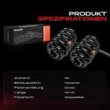 2x Fahrwerksfeder Hinterachse für BMW 3er Cabriolet E30 1.8L 2.0L 2.5L 1985-1993