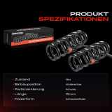 2x Fahrwerksfeder Vorderachse für VW Amarok 2HA 2HB S1B S6B S7A S7B S1B 2010-2022