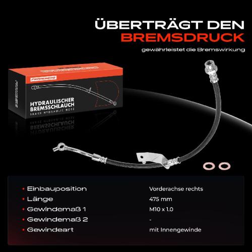 1x Bremsschlauch Bremsschläuche Vorderachse Rechts für KIA Soul AM 1.6L Bj ab 2009 Bild 1x Bremsschlauch Bremsschläuche Vorderachse Rechts für KIA Soul AM 1.6L Bj ab 2009
