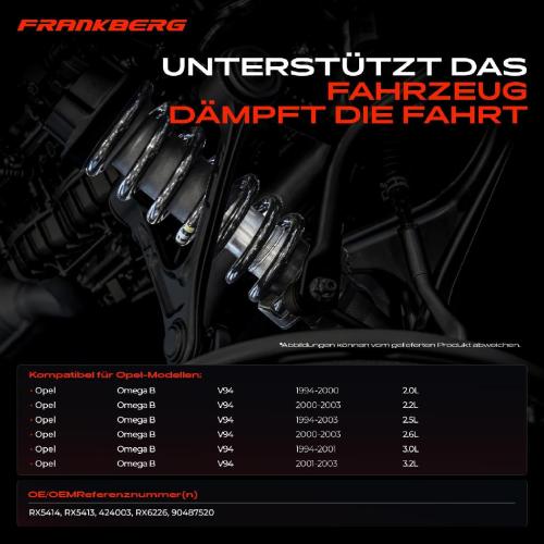 2x Fahrwerksfeder Hinterachse für Opel Omega B V94 2.0L 2.2L 2.5L 2.6L 3.0L 3.2L 1994-2003 Bild 2x Fahrwerksfeder Hinterachse für Opel Omega B V94 2.0L 2.2L 2.5L 2.6L 3.0L 3.2L 1994-2003
