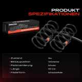 2x Fahrwerksfeder Hinterachse für Volvo S80 I 184 TS XY 2.5L 2.0L 2.4L 1998-2006