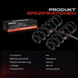 2x Fahrwerksfeder Hinterachse für Peugeot 5008 0E 0U Citroën Berlingo Kasten